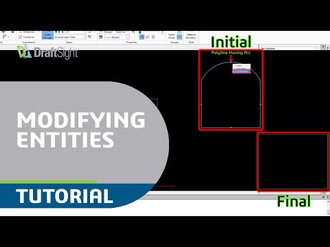 Straighten Polyline Using Entity Grip