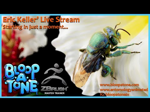 Insect nspired Creature Sculpting with Eric Keller: Earwig part 1