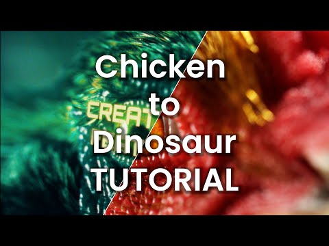 Tutorial - Turning a Chicken into a Dinosaur