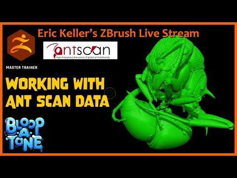 Insect Inspired Sculpting with Eric Keller: AntScan Part 2