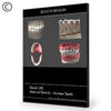Dosch Design | DOSCH 3D: Medical Details - Human Teeth