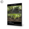 Dosch Design | DOSCH HDRI: Primeval Forest