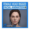NoneCG | Characters - Adult Female Head Rigged