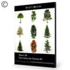 Dosch Design | DOSCH 3D: Tree Library for Cinema 4D