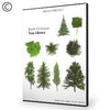 Dosch Design | DOSCH 2D Viz-Images: Tree Library