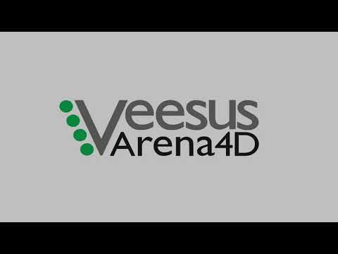 Simple 4K Video Generation - Arena4D