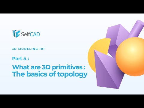 What are 3D Primitives?: The Basics of Topology