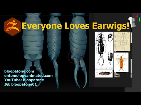 Insect and Creature Sculpting with Eric Keller: Earwig Part 4