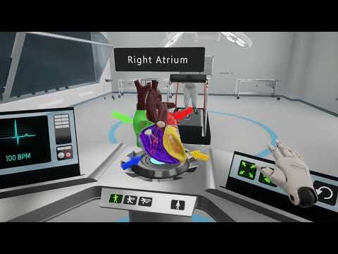 The Human Heart - Educational VR Experience