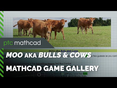 Stacking Cows Math Game Playing
