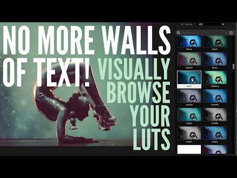 Tip Tuesday - Visually Browse your Custom LUT Library with Magic Bullet Looks