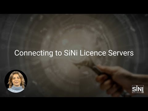 Understanding the SiNi Licence Server options