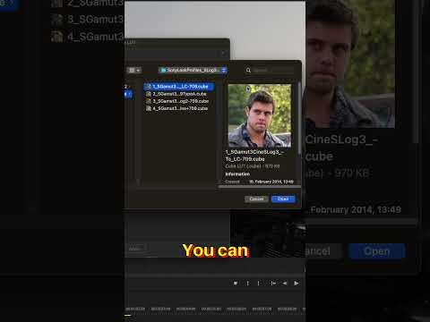 Adding your collection of LUTs into Colorista #shorts #maxoncolor #redgiant