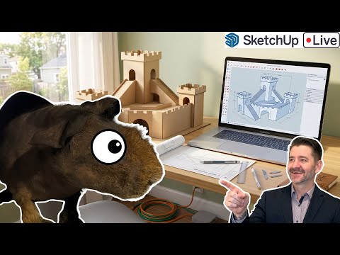 A Castle fit for a Guinea Pig LIVE!