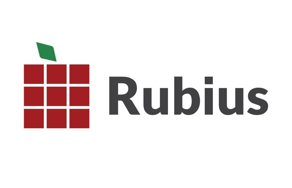 Custom Engineering And Enterprise Software With Rubius