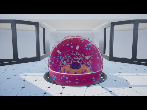 Cell biology in VR