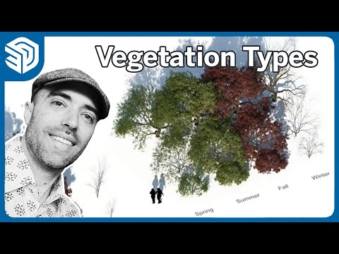 Trees at 9 different levels of detail | SketchUp for landscape architecture