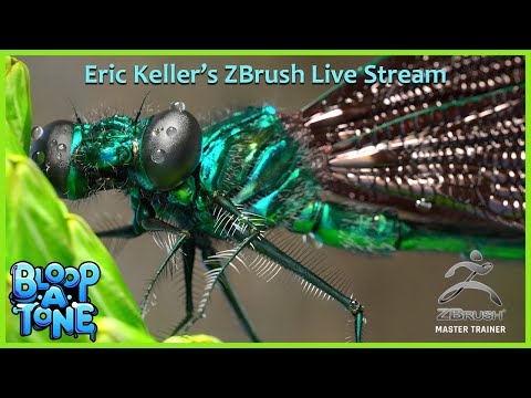 Insect and Arachnid Inspired ZBrush with eric Keller: Earwig part 2!