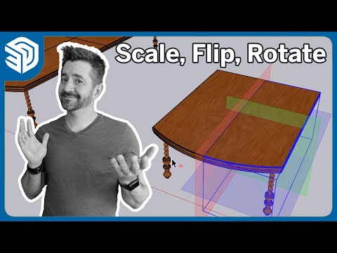 Scale, Flip, or Rotate?