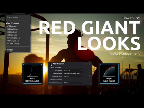 Looks Color Management – The one of the most important aspects you can