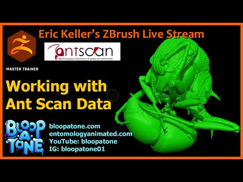 Insect and Arachnid Themed Sculpting with Eric Keller: AntScan Part 6