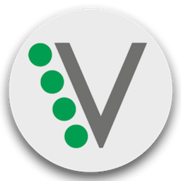 Veesus | Veesus Professional - Subscription