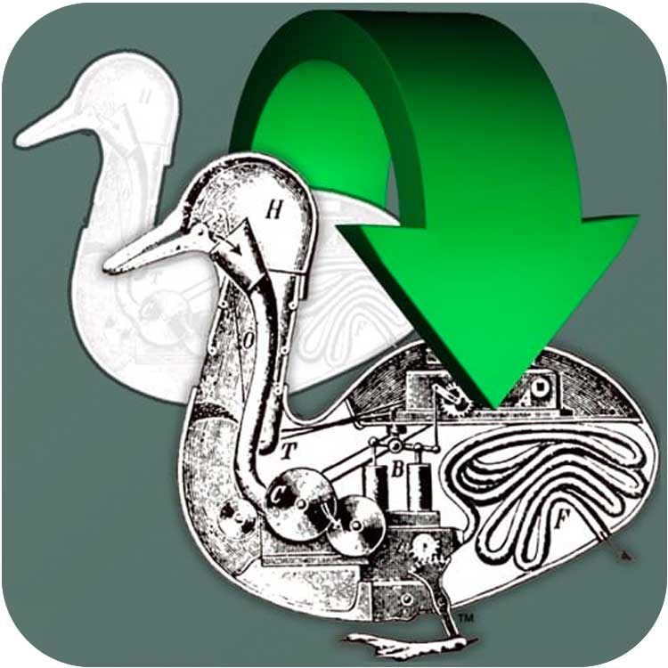 Automatic Duck | Automatic Duck Media Copy