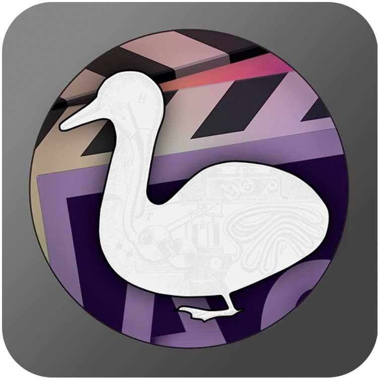 Automatic Duck | Automatic Duck Ximport AE