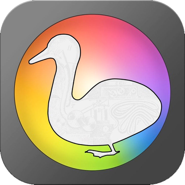 Automatic Duck | Automatic Duck Xsend Motion