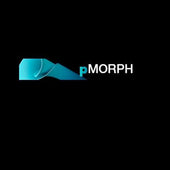 Boomer Labs | Boomer Labs pMorph