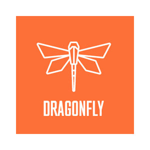 Glassbox | Glassbox Dragonfly Permanent License
