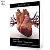 Dosch Design | DOSCH 3D: Medical Details - Human Heart
