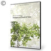 Dosch Design | DOSCH 2D Viz-Images: Foreground Plants & Trees