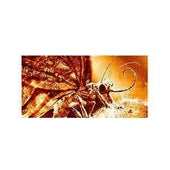 Liquid Dream | Butterfly NetRender 7 - Professional