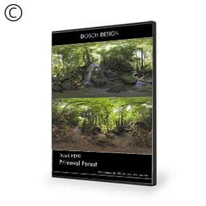 Dosch Design | DOSCH HDRI: Primeval Forest