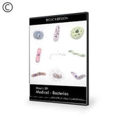 Dosch Design | DOSCH 3D: Medical - Bacterias
