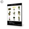Dosch Design | DOSCH 3D: Indoor Plants