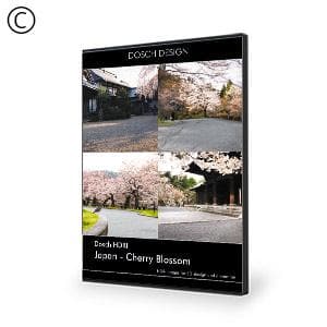 Dosch Design | DOSCH HDRI: Japan - Cherry Blossom