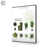 Dosch Design | DOSCH 2D Viz-Images: Indoor Plants