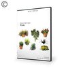 Dosch Design | DOSCH 2D Viz-Images: Plants