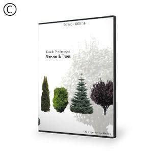 Dosch Design | DOSCH 2D Viz-Images: Shrubs & Trees