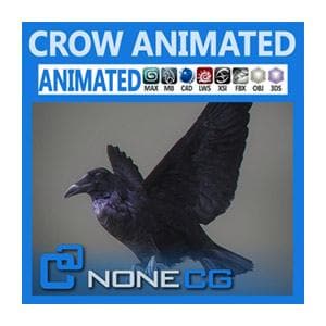 NoneCG | Birds - Animated Crow