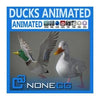 NoneCG | Birds - Animated Ducks