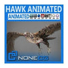 NoneCG | Birds - Animated Hawk