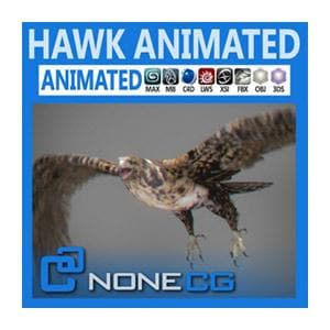 NoneCG | Birds - Animated Hawk