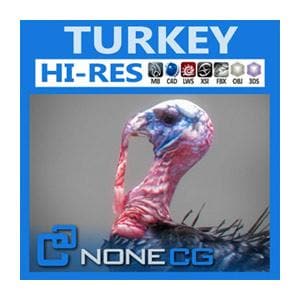 NoneCG | Birds - Turkey