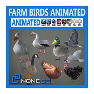 NoneCG | Birds - Pack-Animated Farm Birds