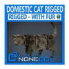 NoneCG | Mammals - Domestic Cat with Fur