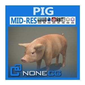NoneCG | Mammals - Pig