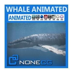 NoneCG | Marine - Animated Whale